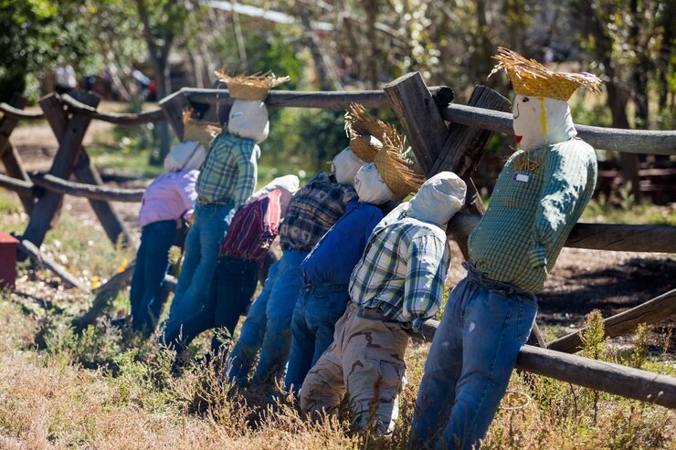 Fotoğraf handmade scarecrow for halloween decoration on old farm.