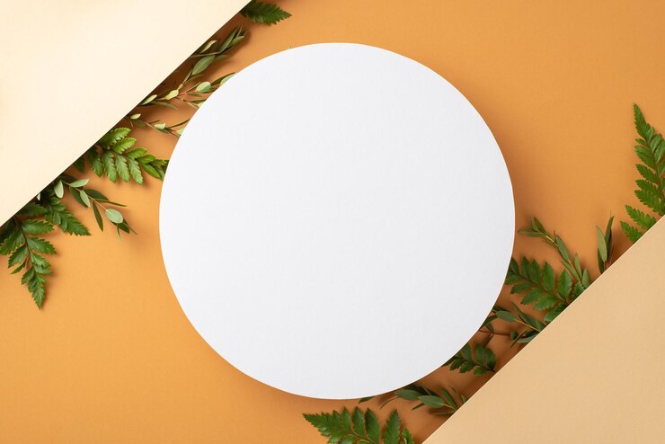 Fotoğraf herbal abstract background concept top view photo of empty circle surrounded by bracken and eucalyptus branches on divided beige and brown isolated background with copyspace