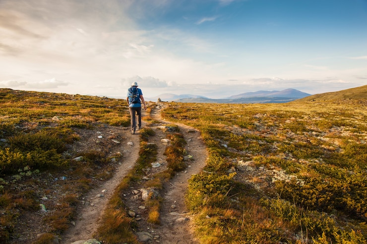 Fotoğraf hiker with backpack traveling in mountains dovre