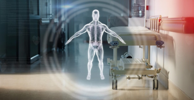 hologram anatomy and a bed in the corridor of a hospital after work ready for an emergency or accident healthcare medical and overlay with a gurney in the empty hallway of a health clinic