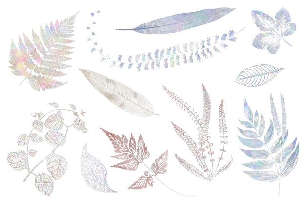 Holographic fern sticker set design resources