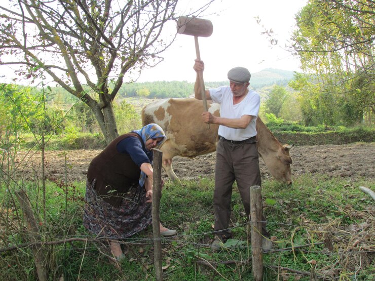 Fotoğraf man hammering wooden post held by woman on field