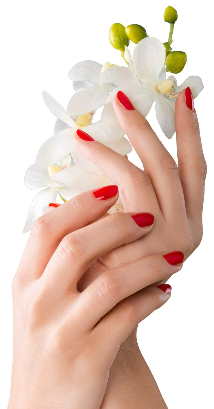 Fotoğraf orchid flowers in female hands isolated on white