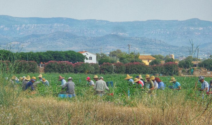 Fotoğraf people working on countryside landscape