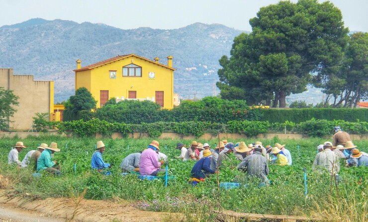 Fotoğraf people working on countryside landscape