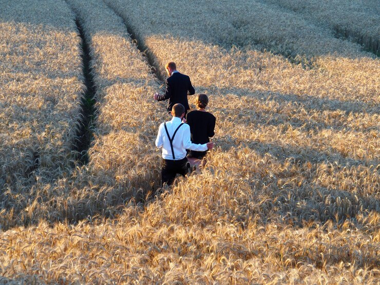 Fotoğraf rear view of friends walking amidst plants on field at farm