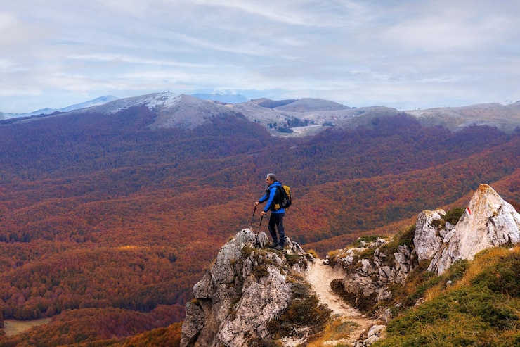 Fotoğraf rear view of man looking at mountain against sky