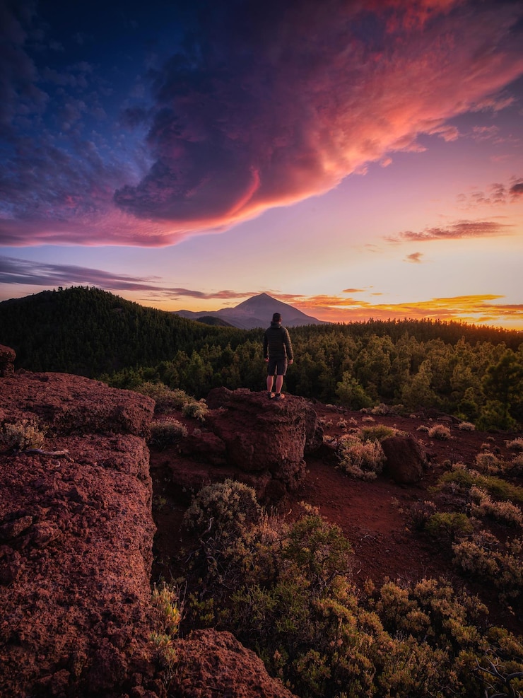 Fotoğraf rear view of man standing on rock against dramatic sky