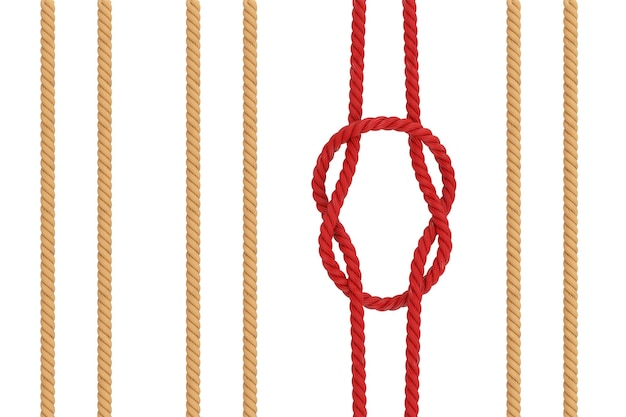 row of rope and one red rope with reef square knot on a white background 3d rendering