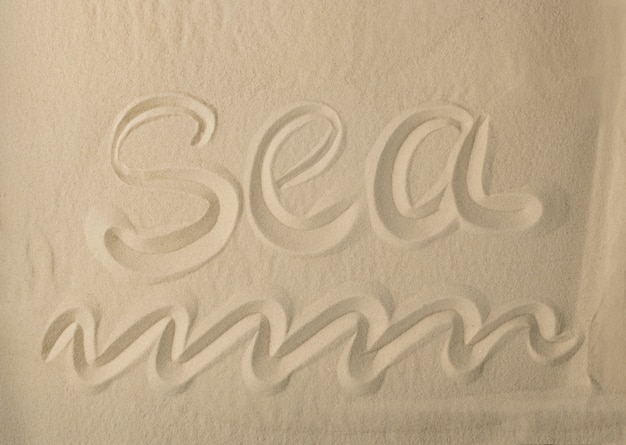 Sandy Beach Background