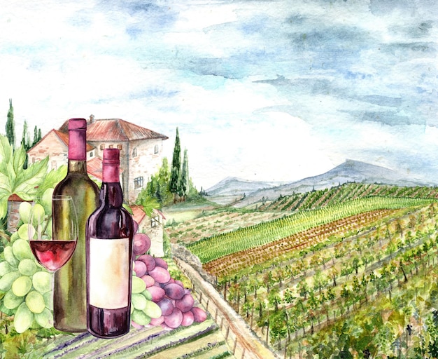 Watercolor drawing composition with grapes on a landscape background