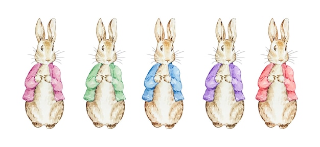 Watercolor Peter Rabbit in a Jacket illustration childrens book
