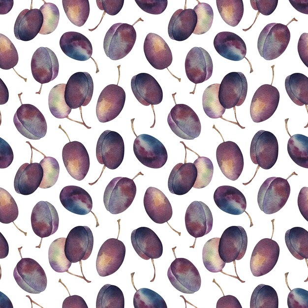 Watercolor Plums seamless pattern Hand drawn botanical illustrations Sketch with purple fruits Isolated on white background For linens linen wrapping paper wallpaper textile