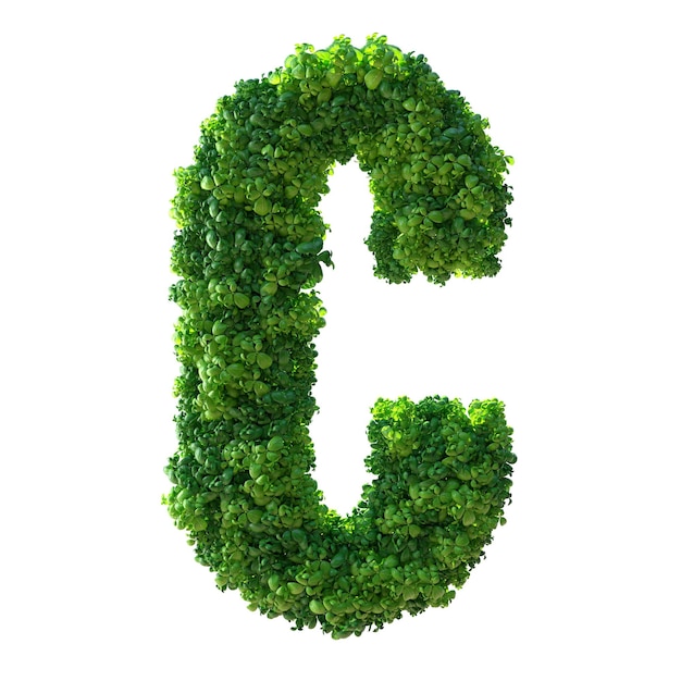 3d alphabet letter C Green plant leaves grass moss basil mint Isolated on a white background with Clipping Path 3d illustration
