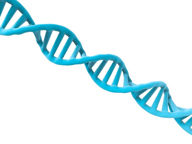 3d rendering dna structure or dna helix on white background