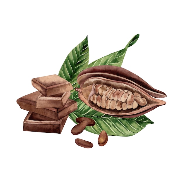 A bar of chocolate a cocoa fruit with grains inside lies on the green leaves of a cocoa tree the