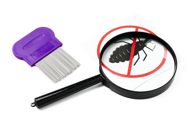 A magnifying glass and lice combs placed side by side on a clean white background