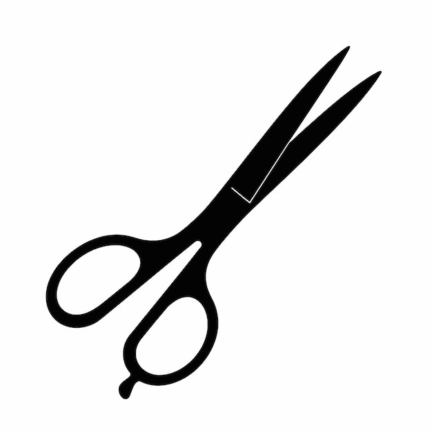 a pairs of scissors The background is plain white