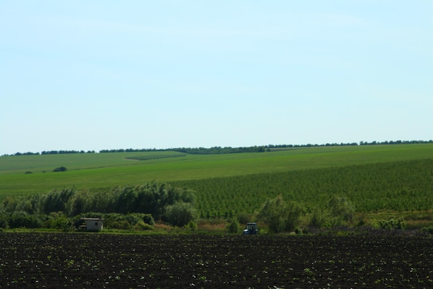 a tractor in a field