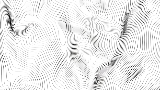 Abstract black and white wavy lines pattern