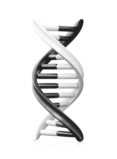Black and White Dna 3d render