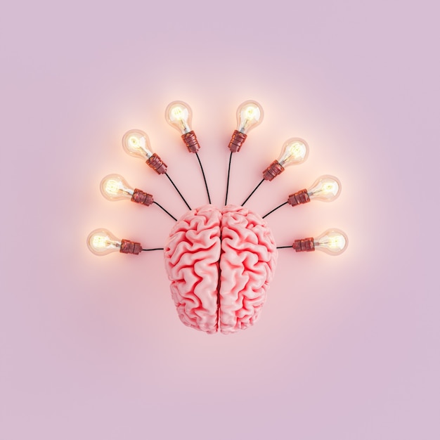 brain with light bulbs connected and illuminated