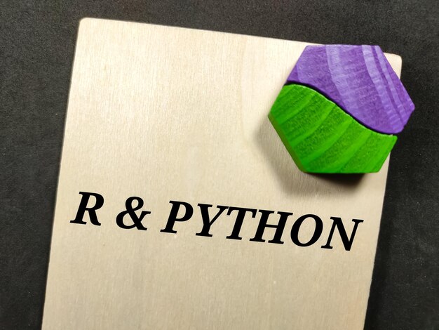 Business conceptText R and PYTHON writing on wooden board with colored wooden block on a black background