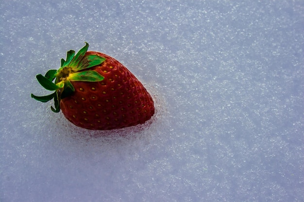 close-up of strawberry on ice
