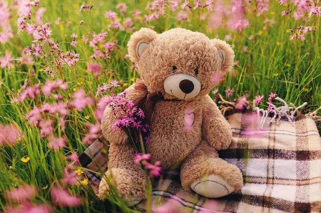Close-up of teddy bear on field