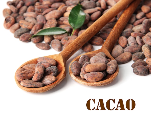 Cocoa beans in wooden spoons with leaves isolated on white