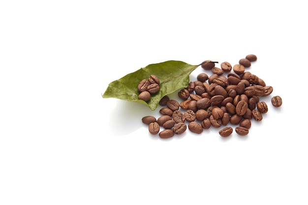 Coffee beans with coffee leaves
