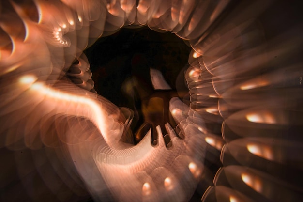 cropped hand amidst illuminated lighting equipment