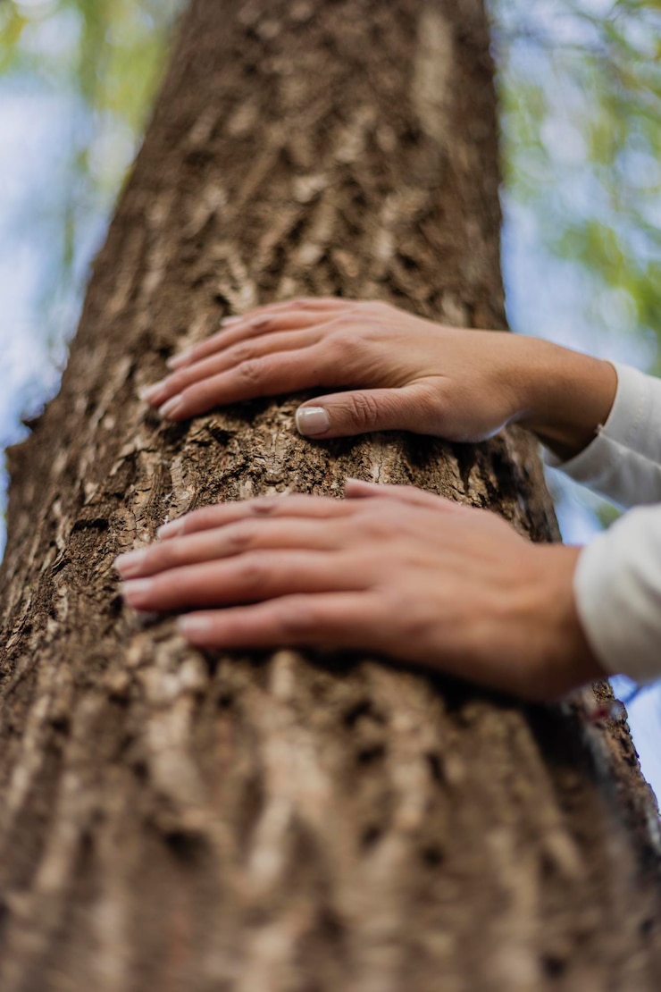 Kuva cropped hand of woman touching tree
