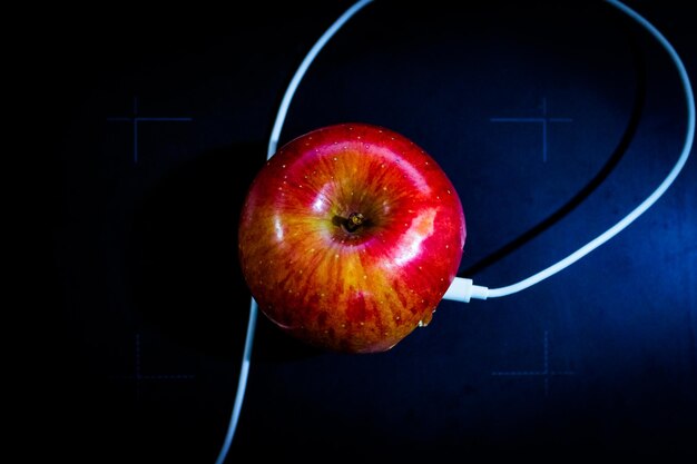 Directly above shot of cable connected to apple