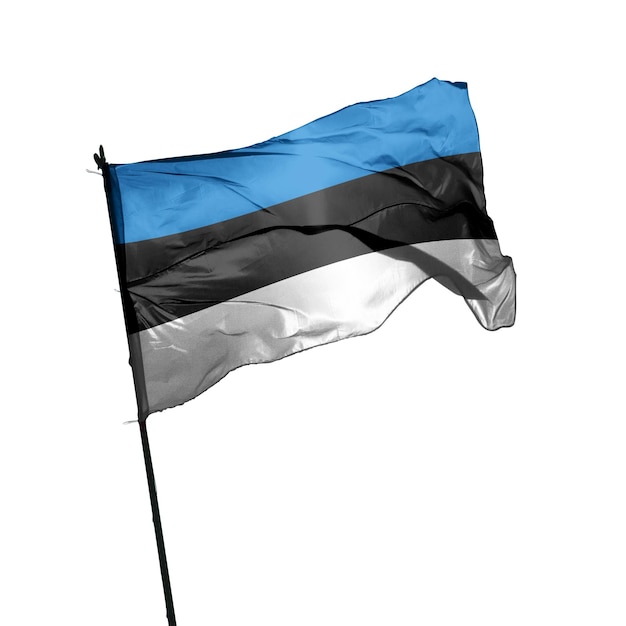 estonia flag on white background