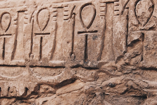 full frame shot of hieroglyphics on wall
