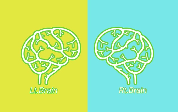 Function of left and right brainThe concept creative part and development part of human left and right brain with social and commercial illustrations