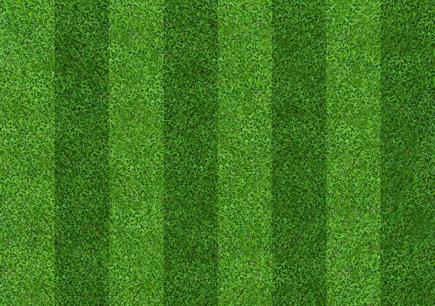 Green grass field pattern background for soccer and football.