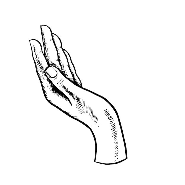 Hand Black and white handdrawn graphics Vector illustration of two open palms