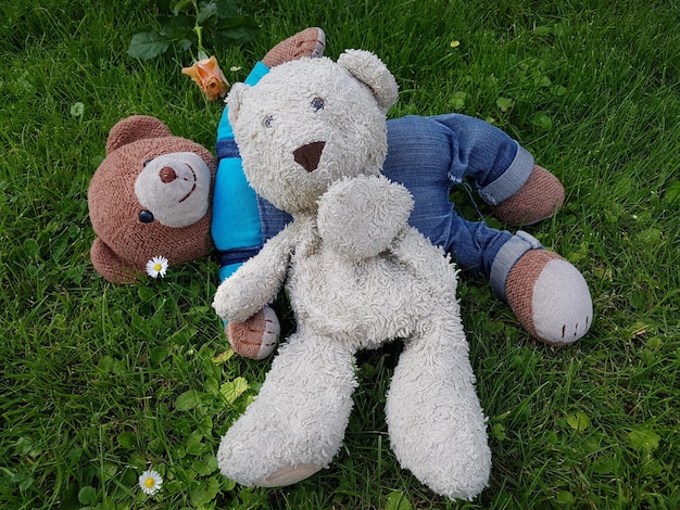 High angle view of teddy bears on grassy field