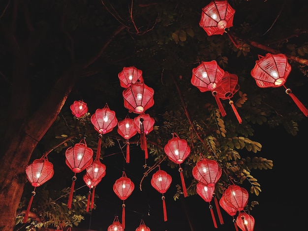 Illuminated red lanterns hanging on tree