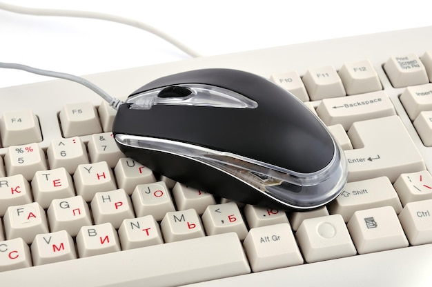 Keyboard and computer mouse