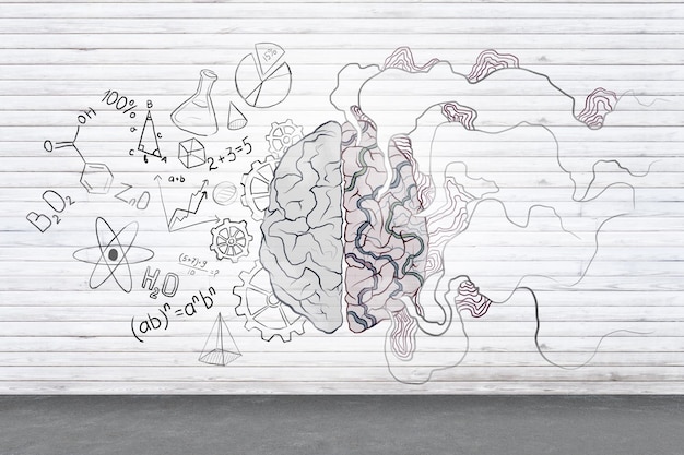 Left and right human brain concept with brain hemispheres maths formulas abstract lines illustration on plain wooden wall