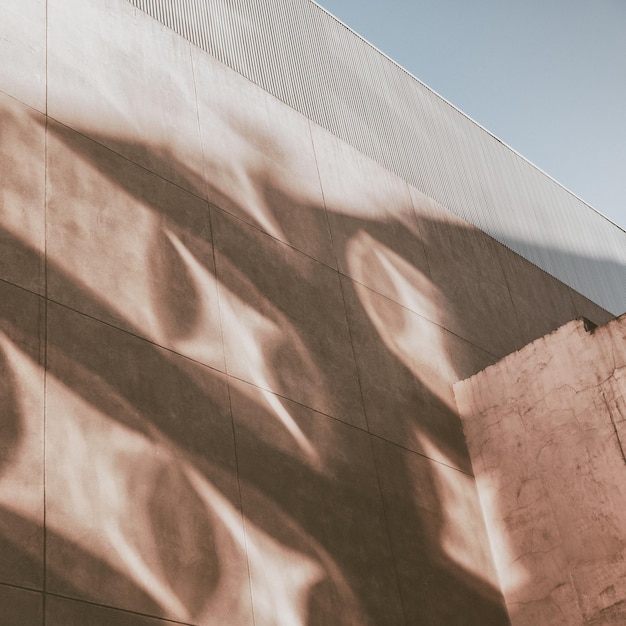 Low angle view of shadow pattern on wall
