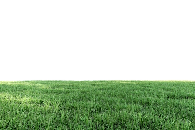 lush green grass lawn fresh nature isolated on white background with clipping path 3d render