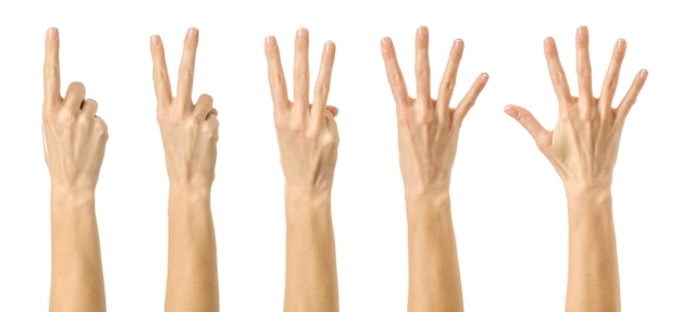 multiple images set of female caucasian hand with french manicure counting from one to five