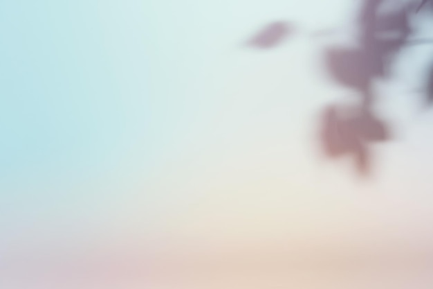 natural foliage shadow on gradient paper background abstract pastel floral backdrop soft light