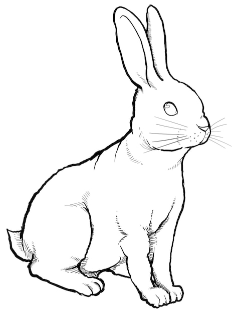 Rabbit png sticker Chinese zodiac animal in line art design transparent background