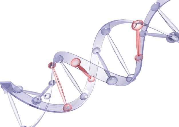 Sample DNA