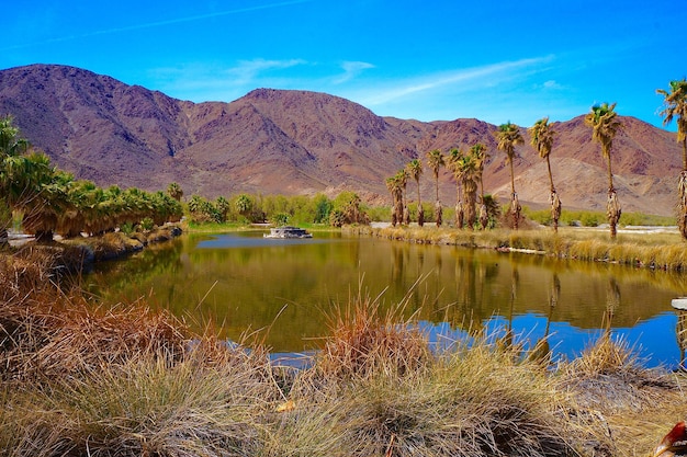 Scenic shot of calm countryside lake